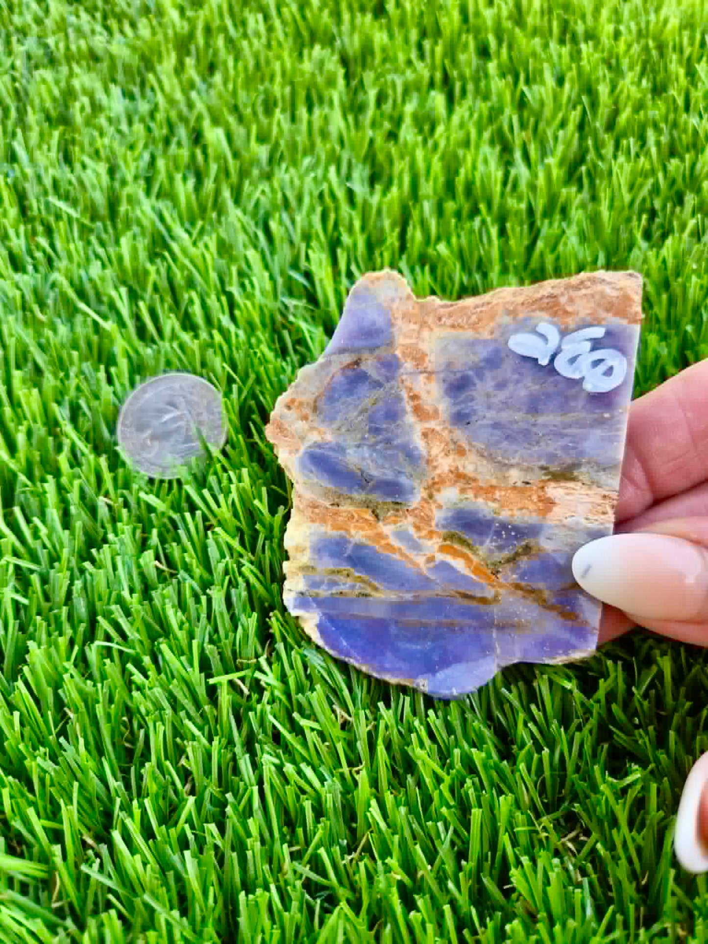 Purple Burro Creek Agate Slab 257-262