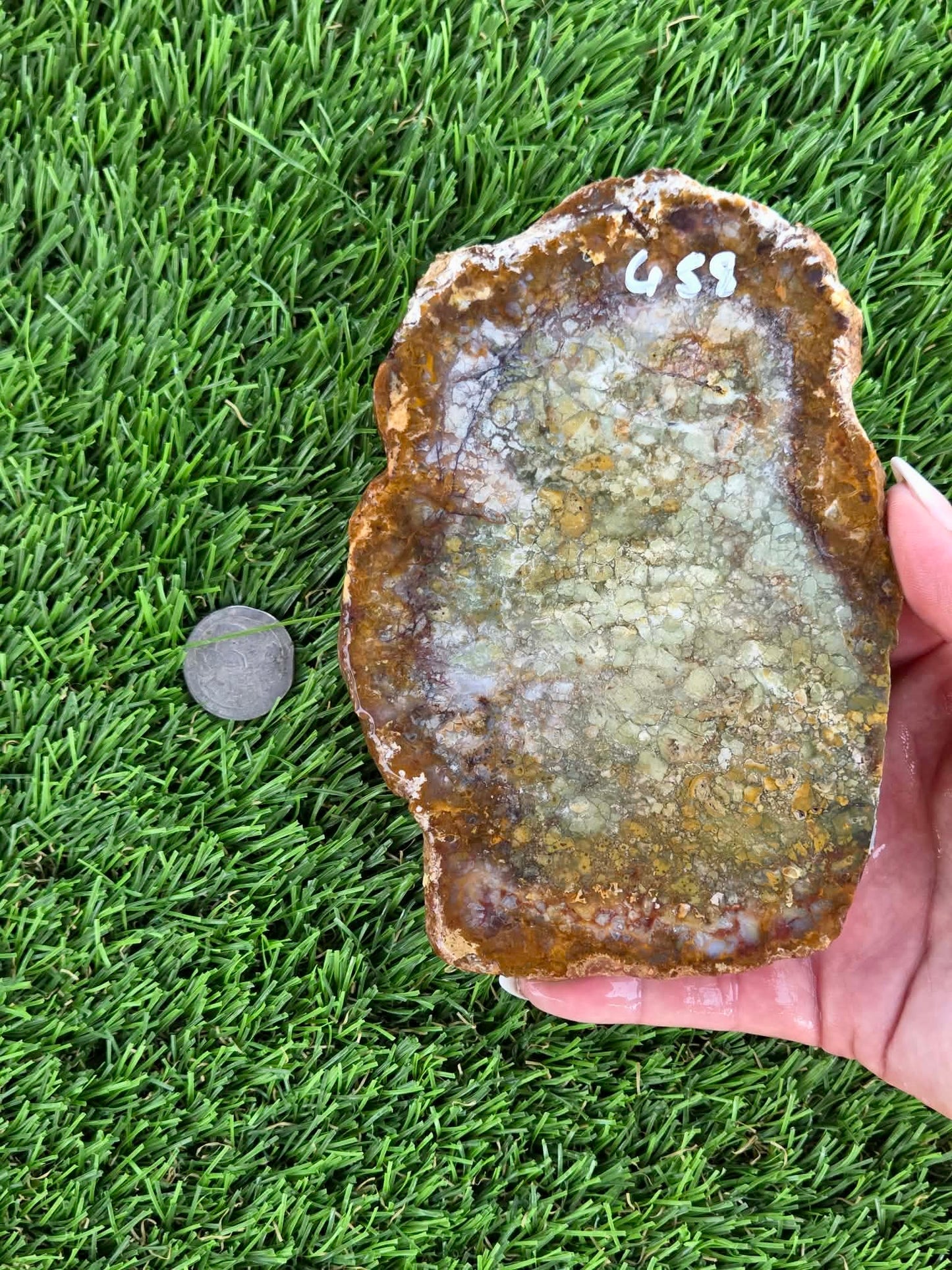 Brecciated Jasper Slabs N658-660