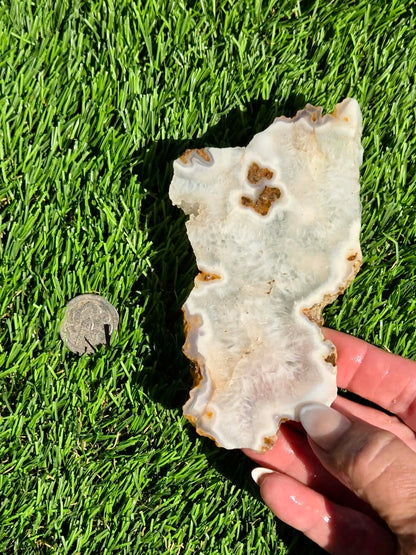 Natural Fortification Agate with Quartz Crystal Druzy Slabs M624-629
