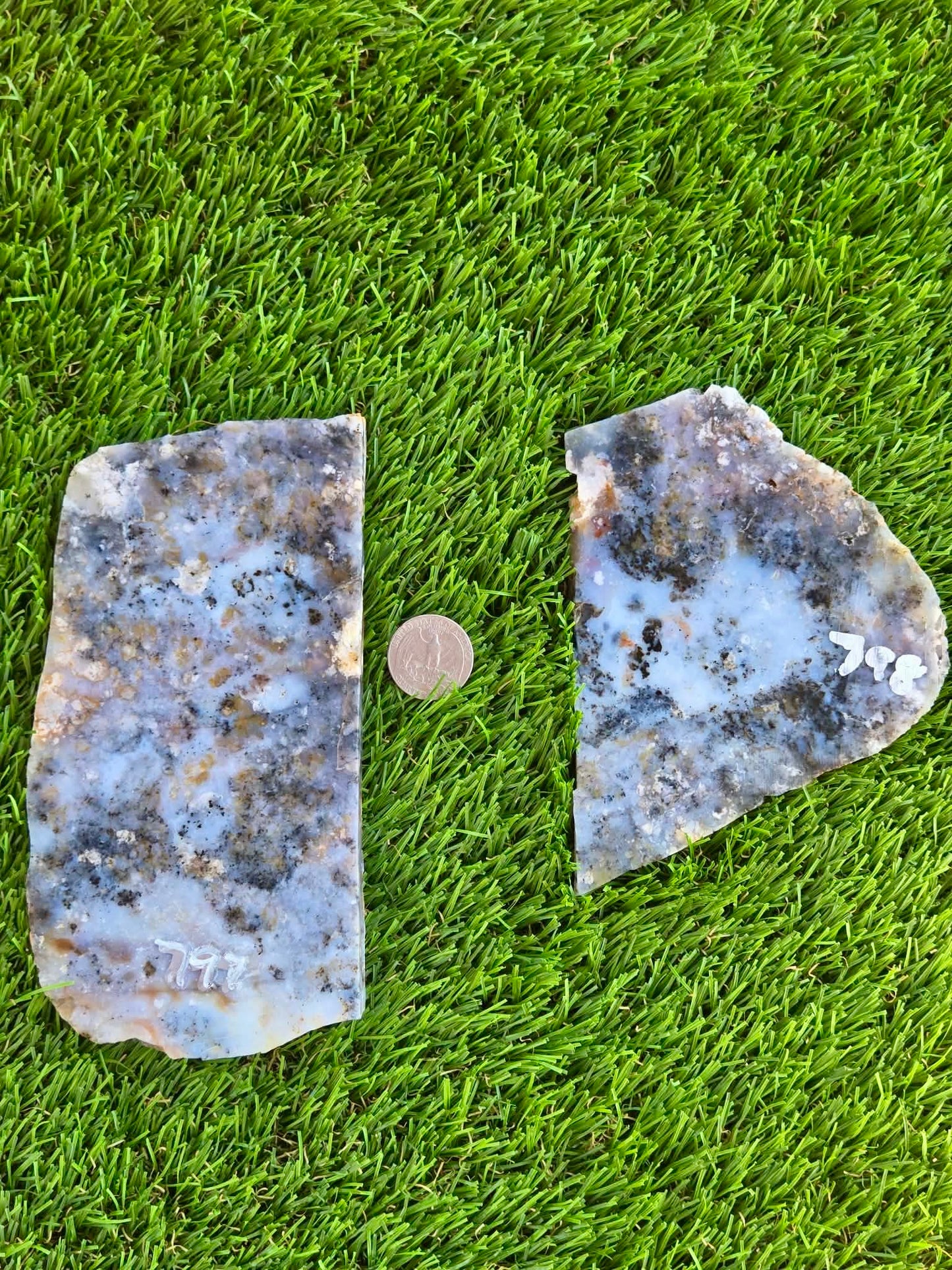 Moss Agate with Dendritic Inclusions Slabs Q797–798