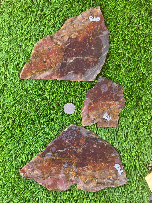 Brecciated Red Jasper Slabs Q820–823