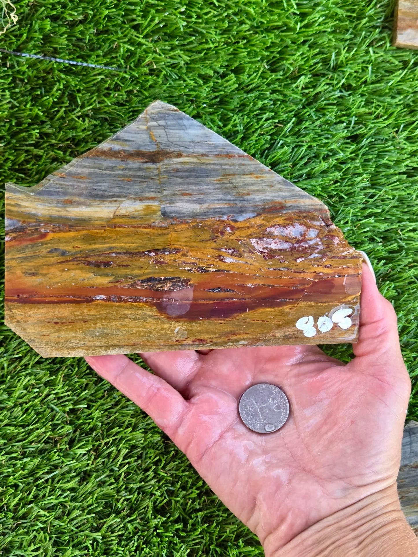 California Picture Jasper Slabs Q805–807