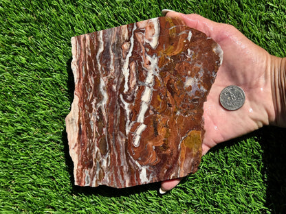 Banded Brecciated Jasper with Agate Slabs O686–689