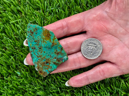 Globe Chrysocolla Slab Bundle-SB166