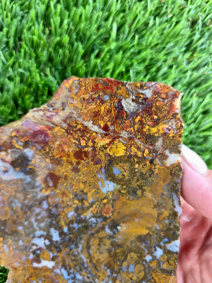 Camp Verde Moss Agate Slabs M599-601