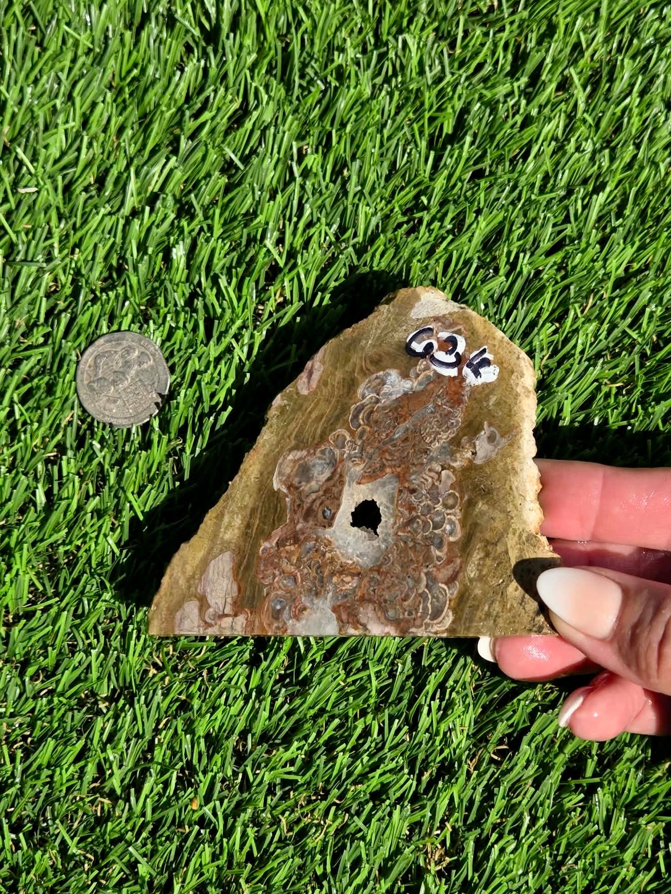 Green Mushroom Rhyolite M630-638