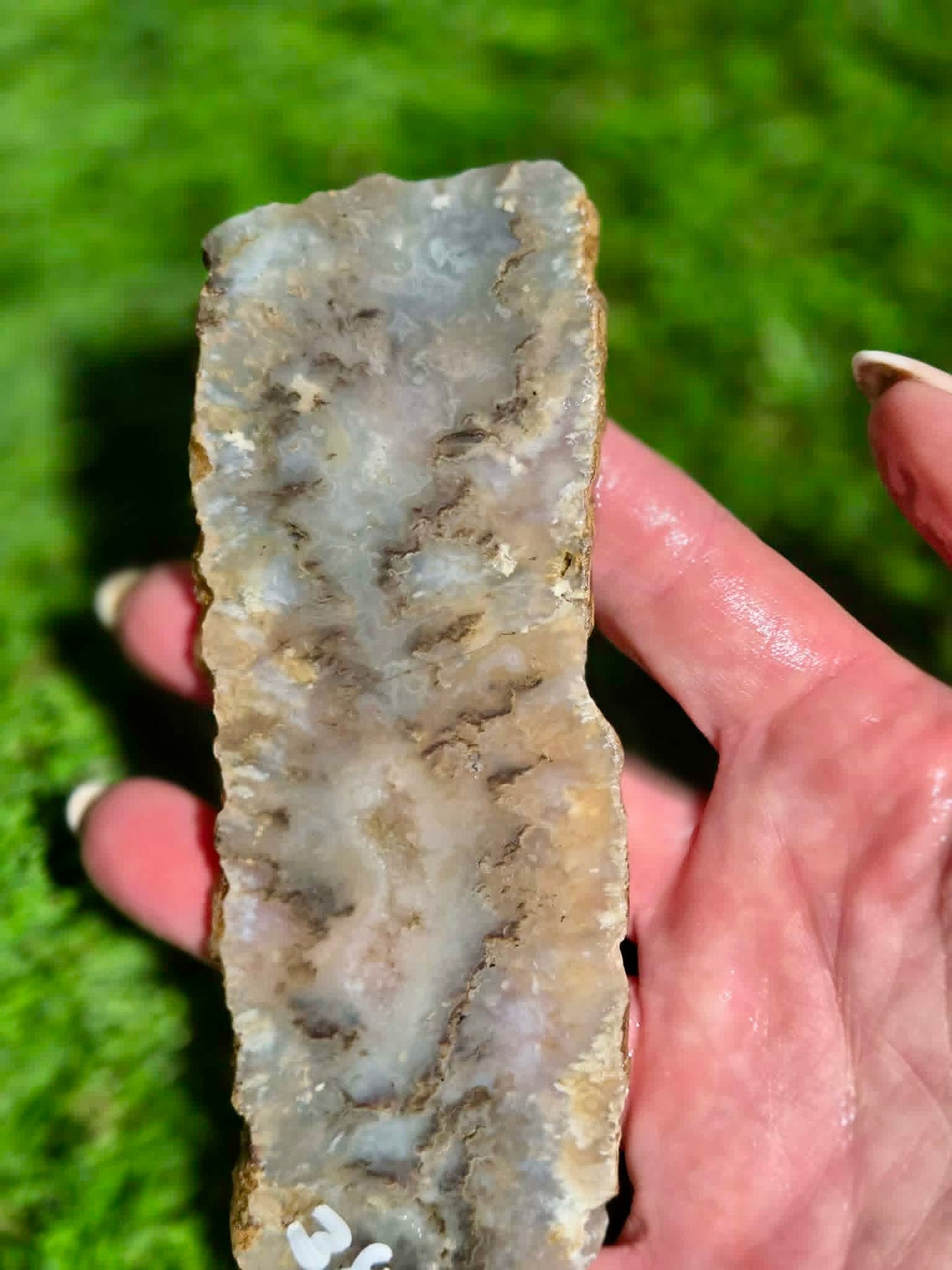 Graveyard Point Agate Slabs H379-384