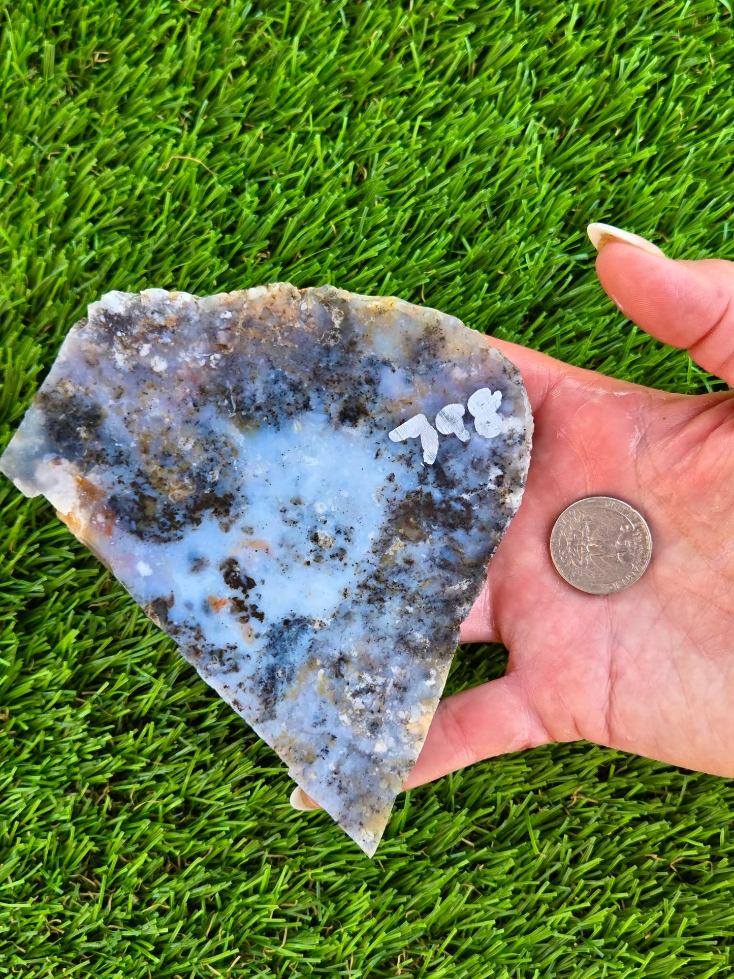 Moss Agate with Dendritic Inclusions Slabs Q797–798
