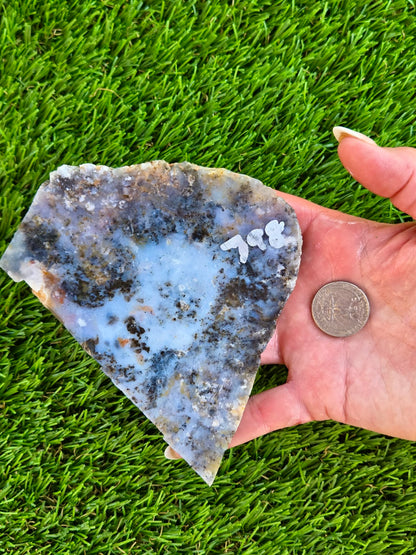 Moss Agate with Dendritic Inclusions Slabs Q797–798