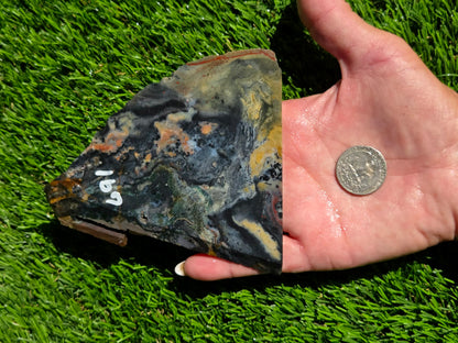 Indonesian Banded Hematite Slabs O690–692