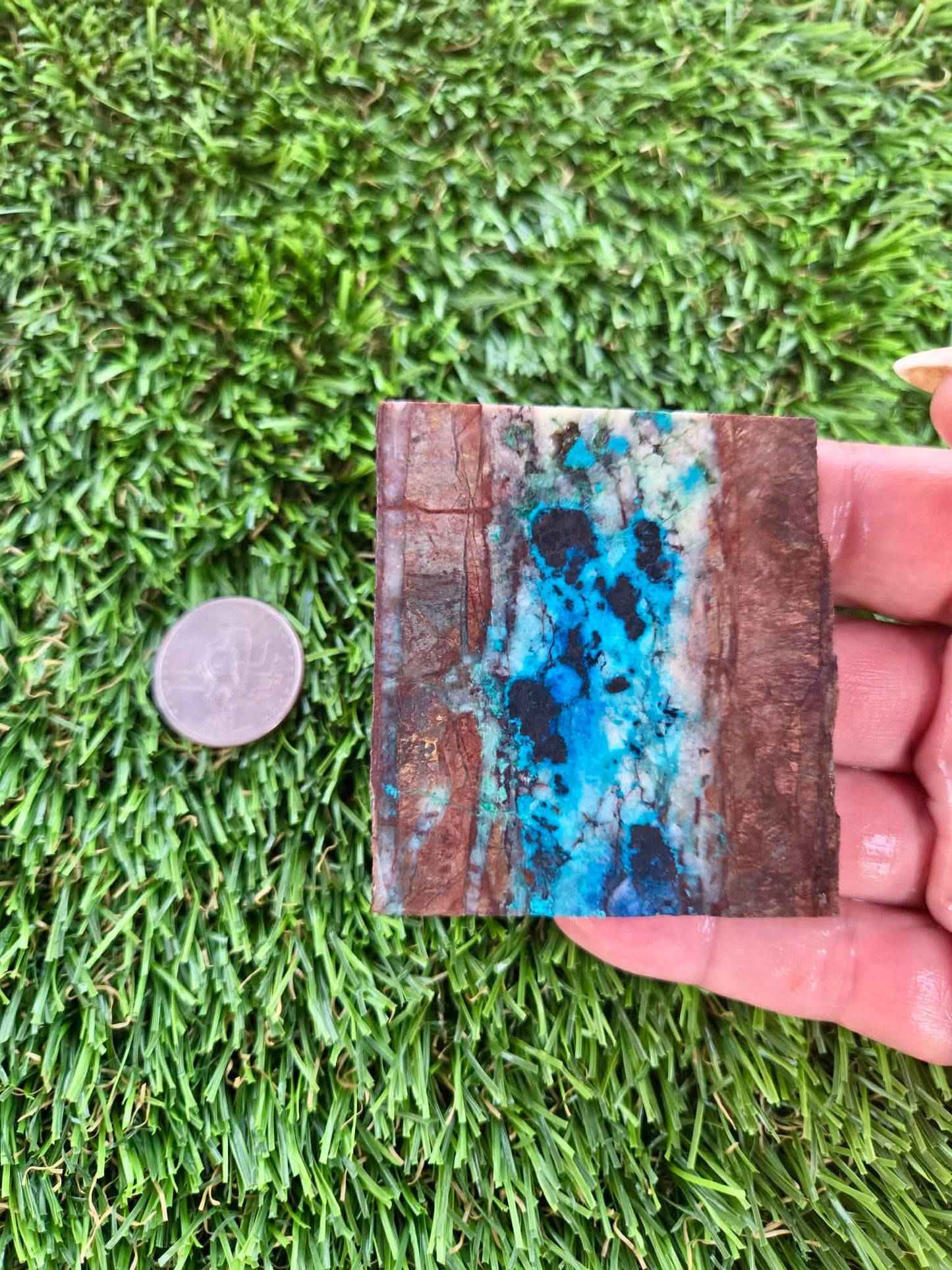 Shattuckite Slabs B101-106