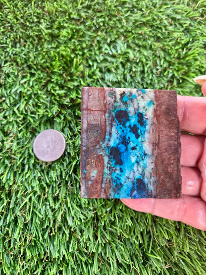 Shattuckite Slabs B101-106