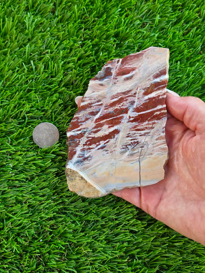Red Creek Brecciated Jasper Slabs L548-552