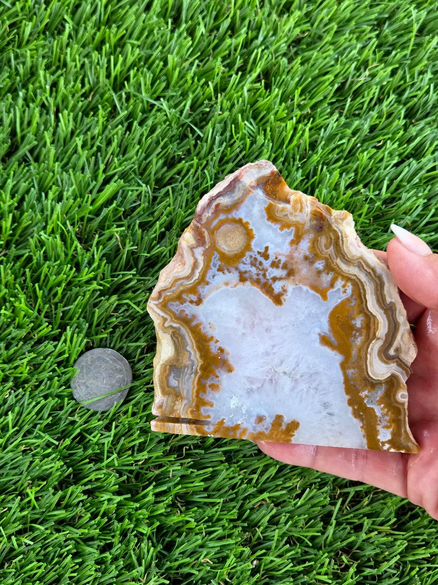 Natural Banded Fortification Agate Slabs N667-668