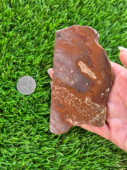 Rustic Red Brecciated Jasper Slabs H363-365