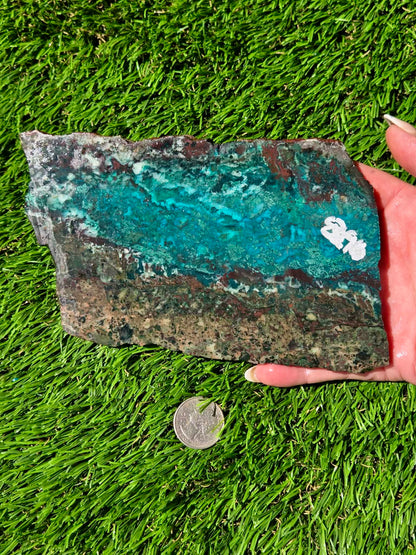 Inspiration Mine Chrysocolla, Malachite & Silica Slabs T896–900
