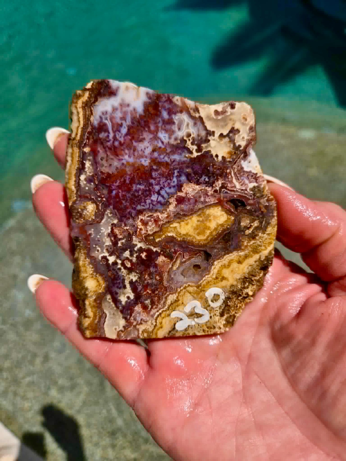 Camp Verde Agate Slab 225-231
