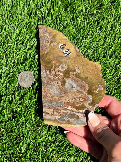 Green Mushroom Rhyolite M630-638