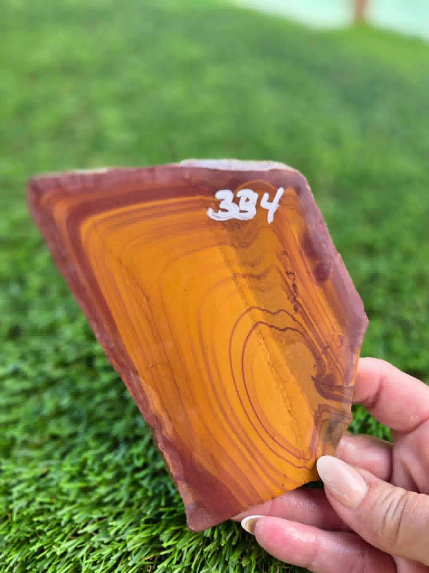 Desert Picture Jasper Slabs G332-334
