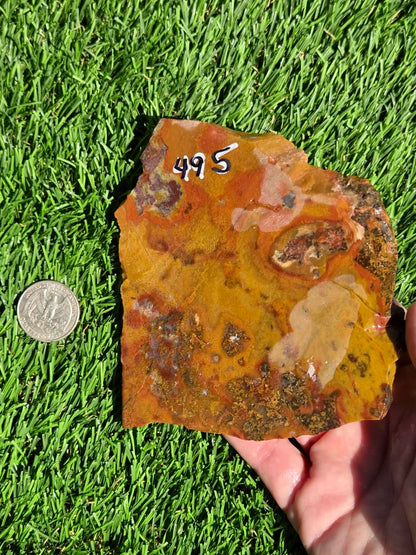 Arizona Jasper Agate Slabs J495-496