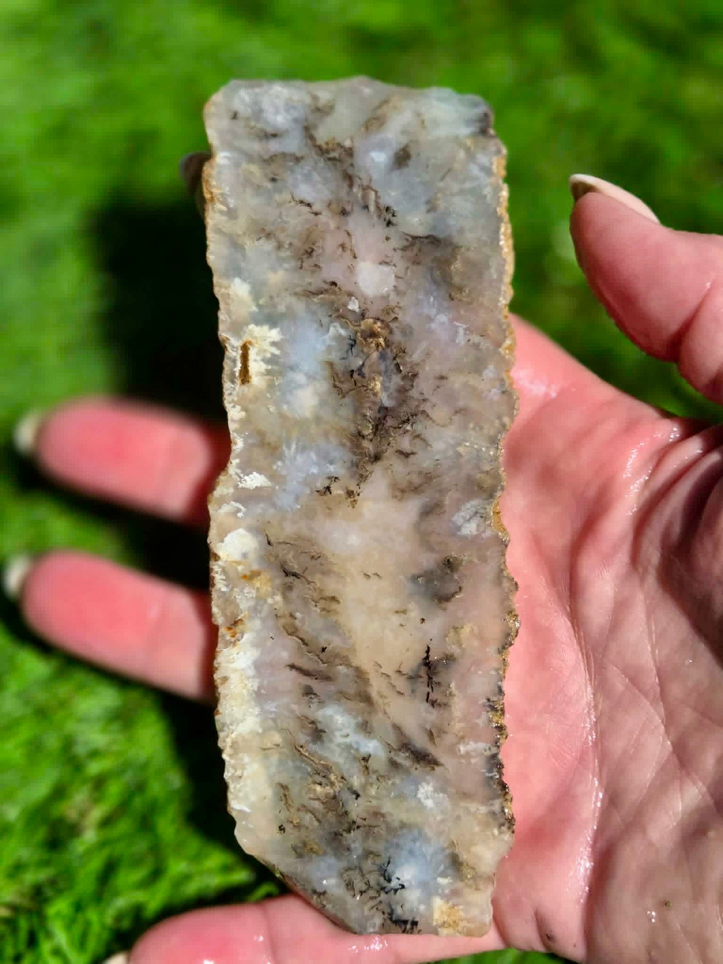 Graveyard Point Agate Slabs H379-384