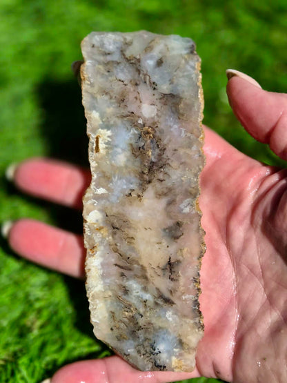 Graveyard Point Agate Slabs H379-384