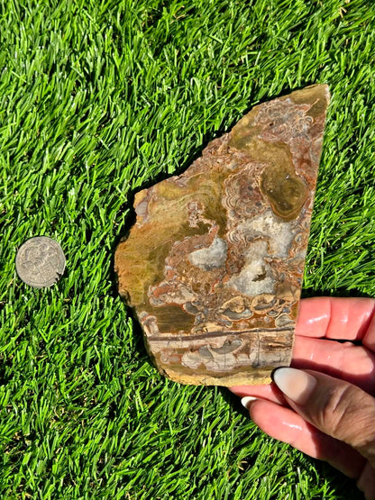 Green Mushroom Rhyolite M630-638