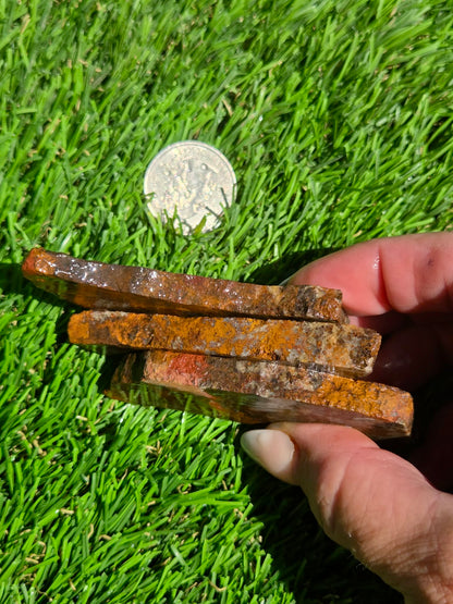 Orange Moss Agate Slab Bundle SB129
