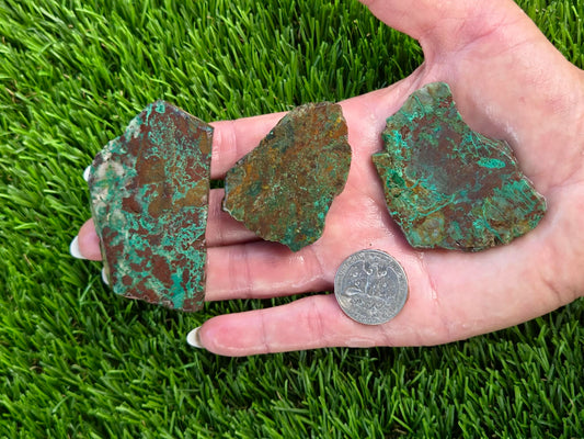 Globe Chrysocolla Slab Bundle-SB57