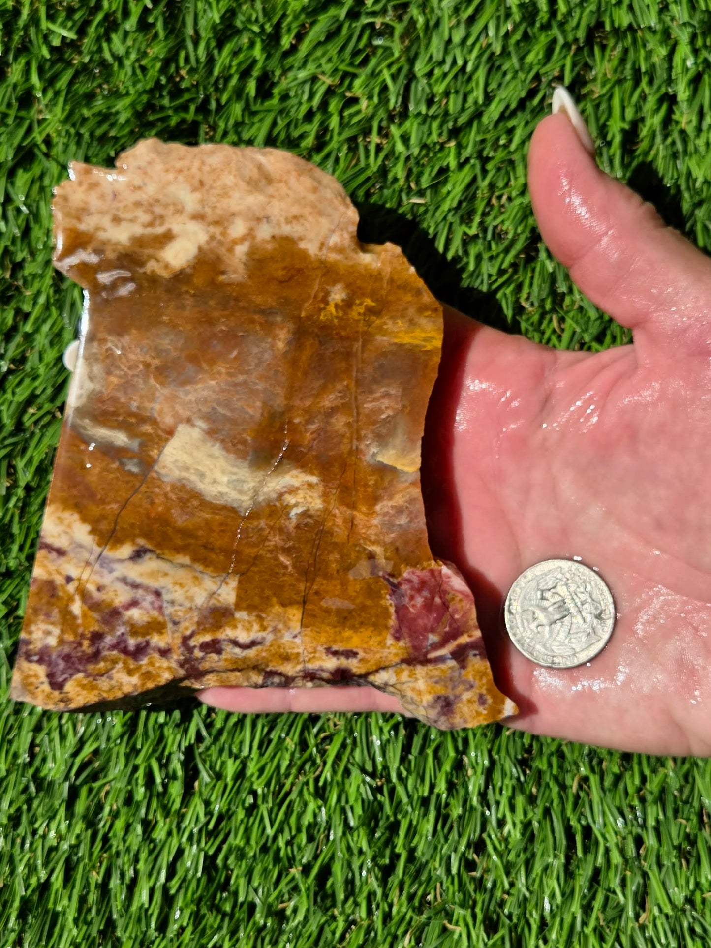 Burro Creek Jasper Slabs R841–847