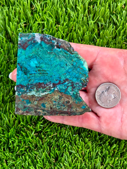 Globe Chrysocolla & Malachite Slabs V991–995