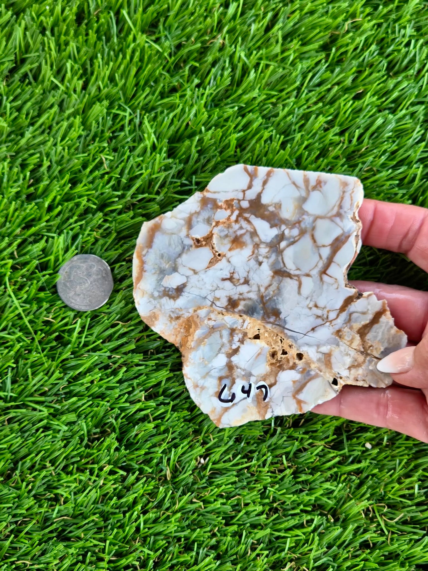 Natural Brecciated Jasper Slabs N645-649