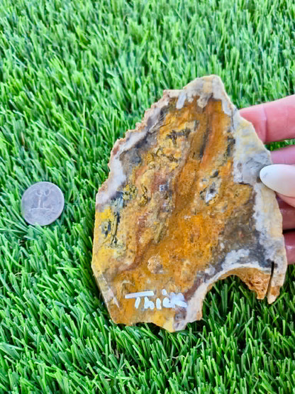 Iron-rich jasper/chalcedony with quartz Slabs F297-301