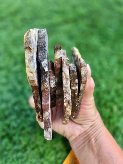 Wild Horse Jasper Slabs G342-348