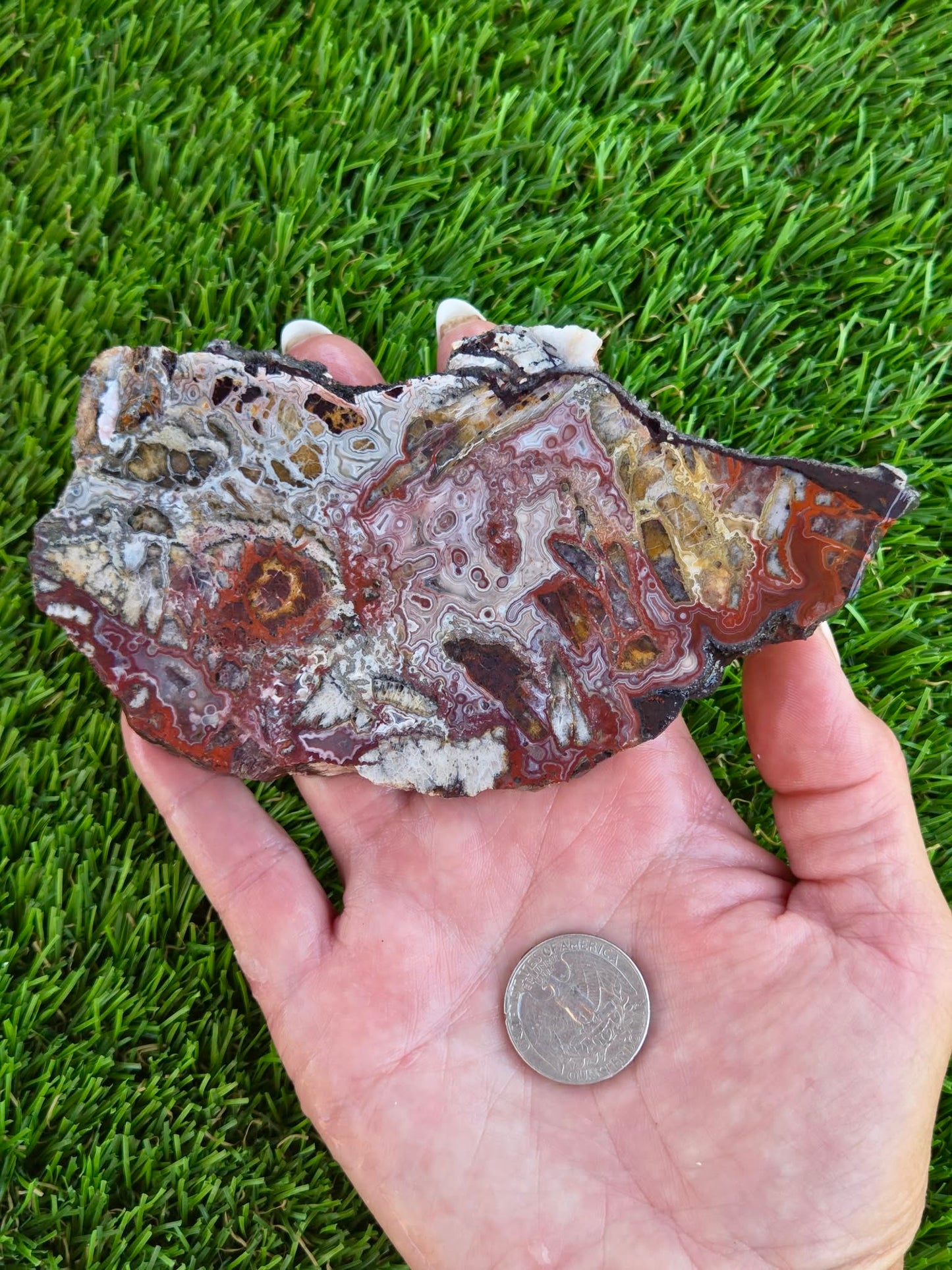 Laguna Lace Agate Slabs Q801–804