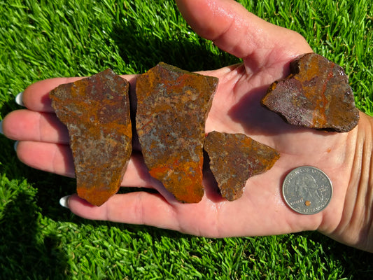Orange Moss Agate Slab Bundle SB140
