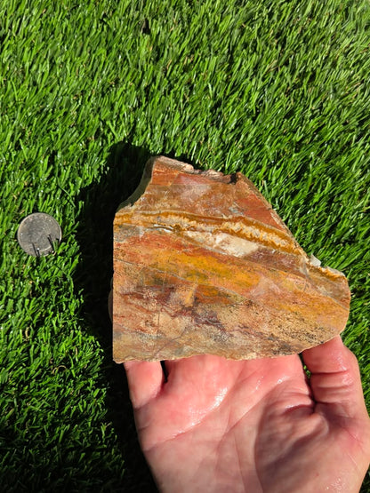 Arizona Banded Jasper with Quartz Slabs O708–709