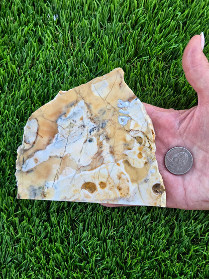 Brecciated Jasper Slabs T917–921
