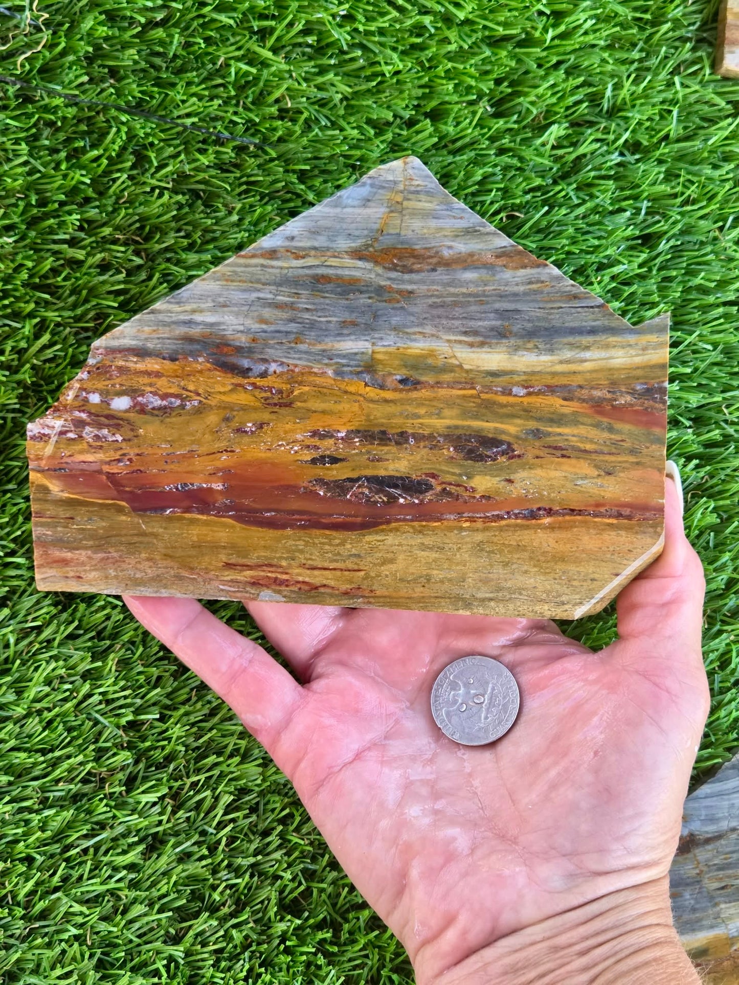 California Picture Jasper Slabs Q805–807