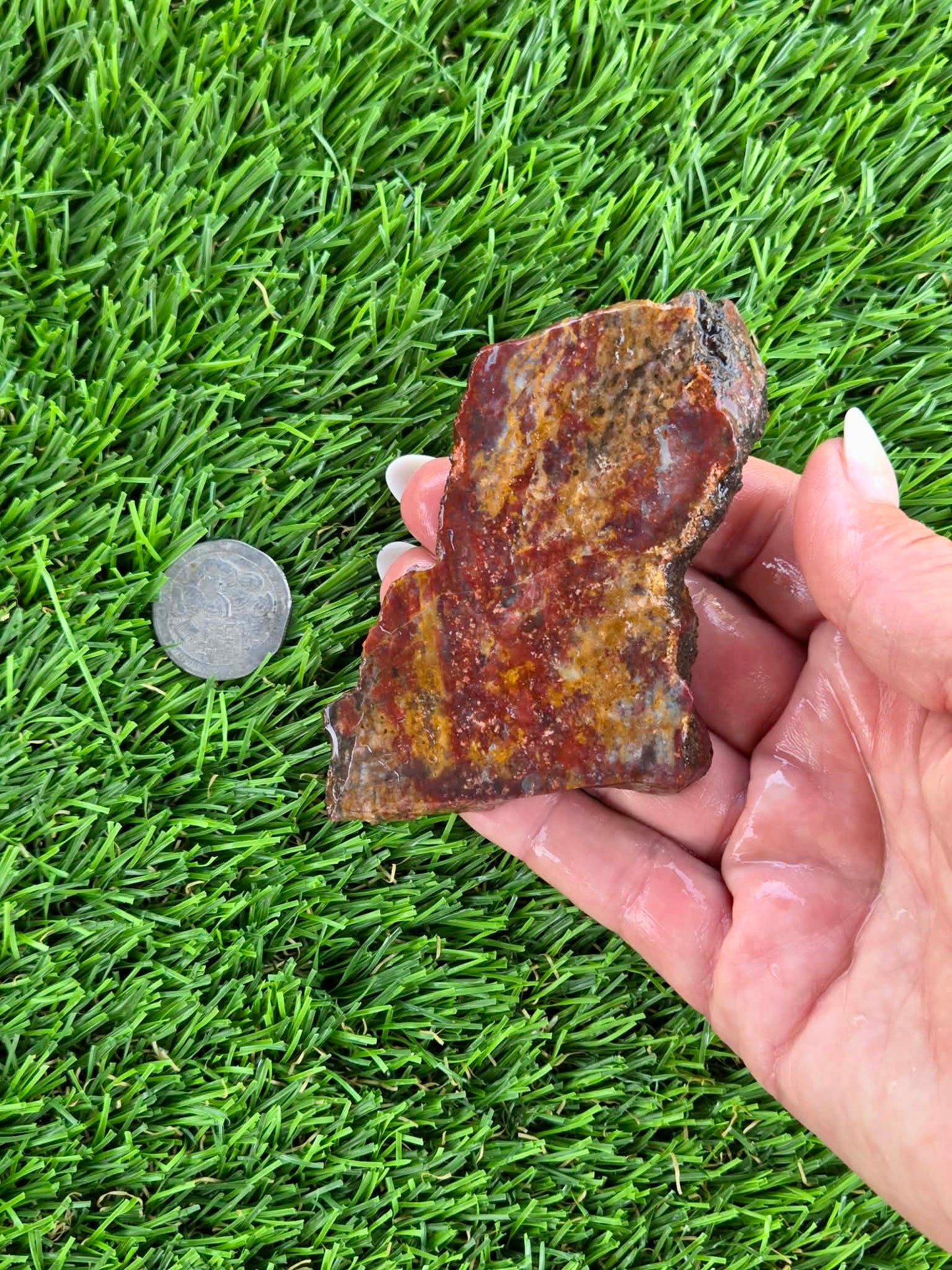 Red & Mustard Jasper Slabs N652-657