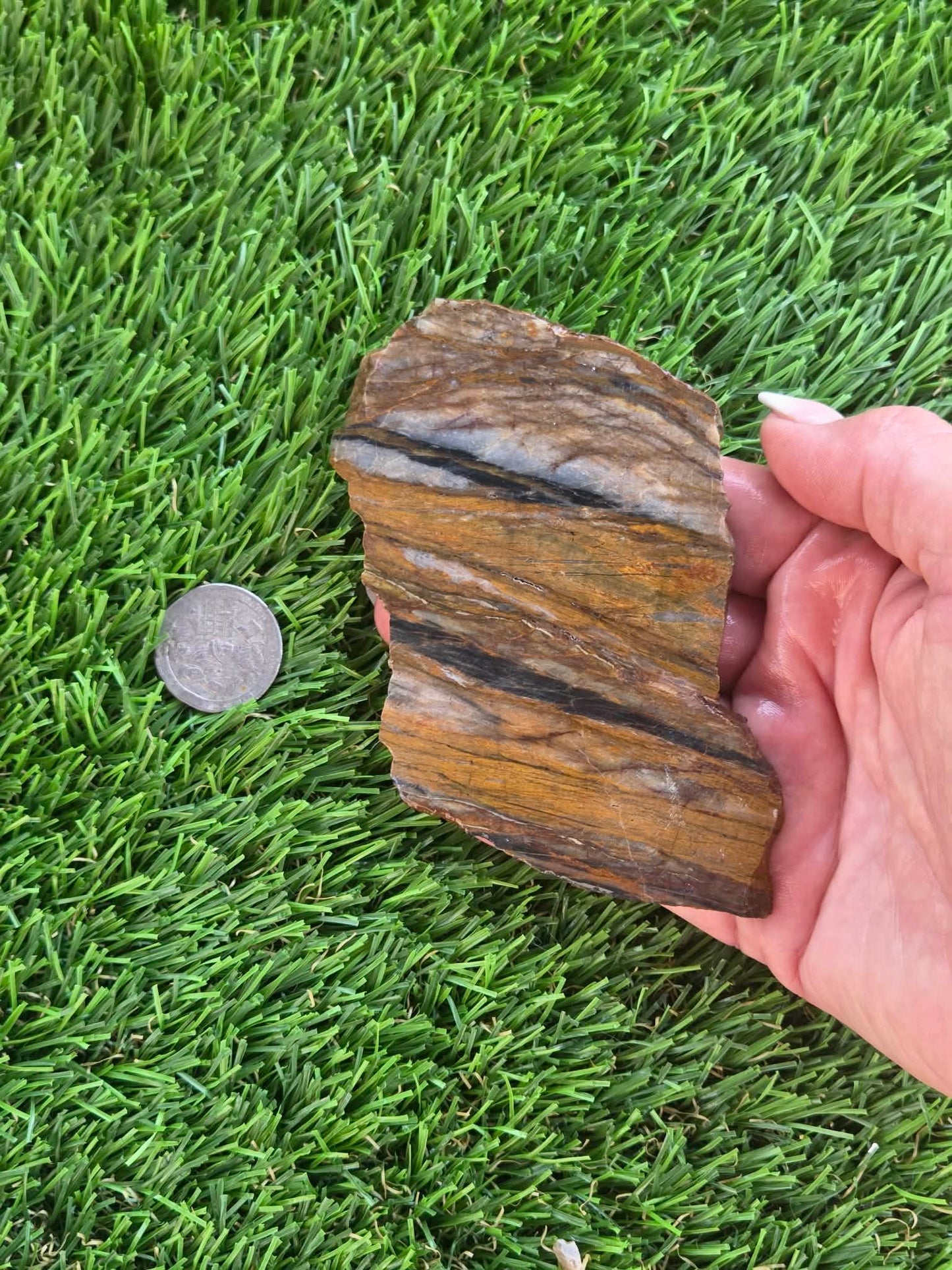 Agatized Petrified Wood Slab I453-458