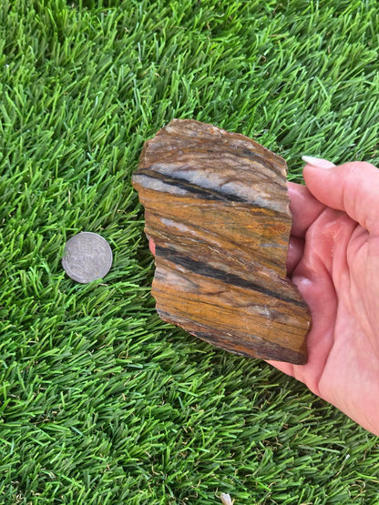 Agatized Petrified Wood Slab I453-458