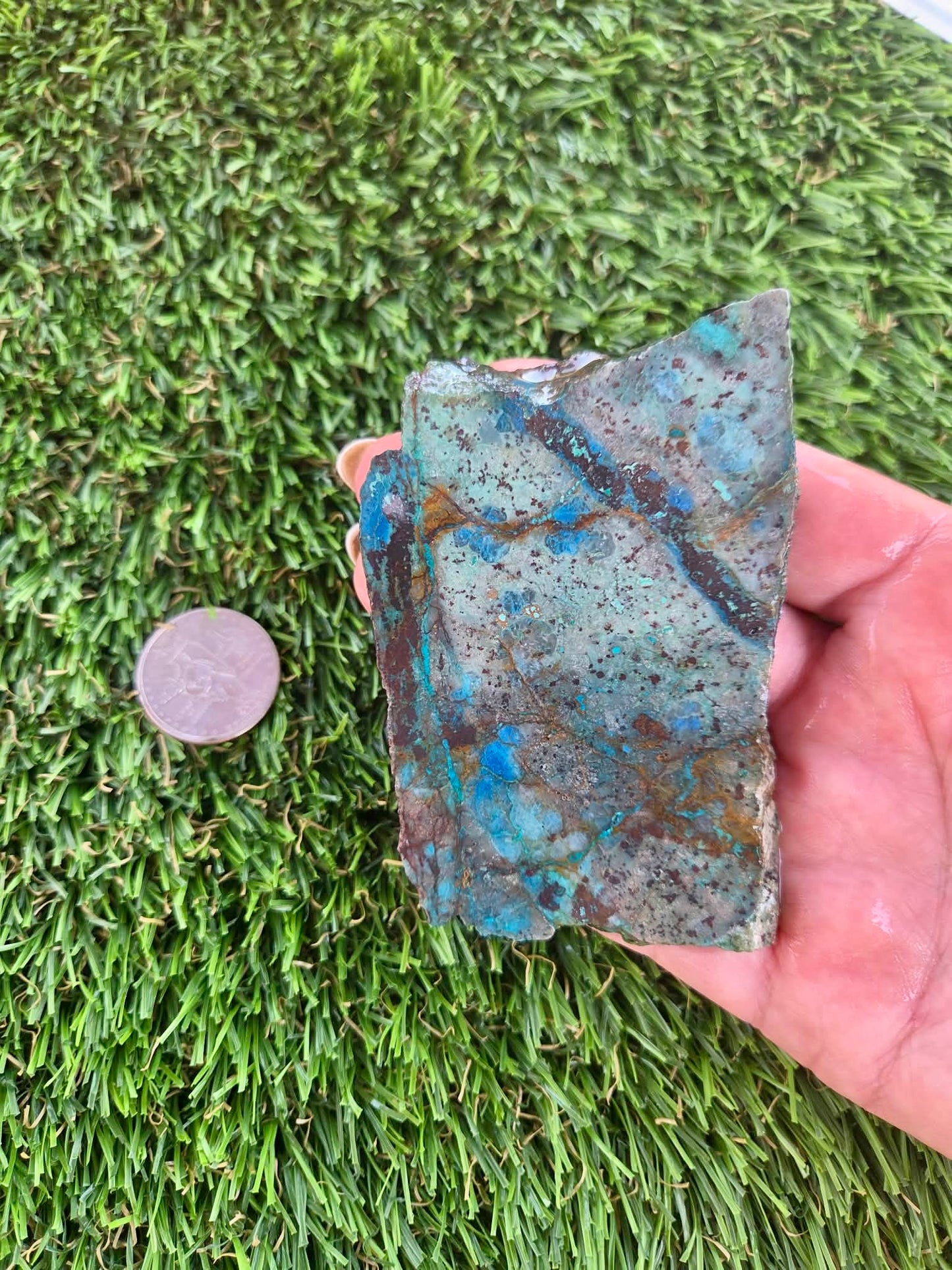 Shattuckite with Azurite & Malachite Slabs B113-119