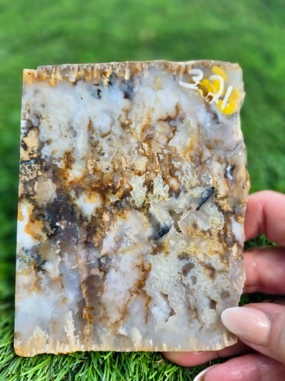 Graveyard Point Plume Agate Slabs G317-322