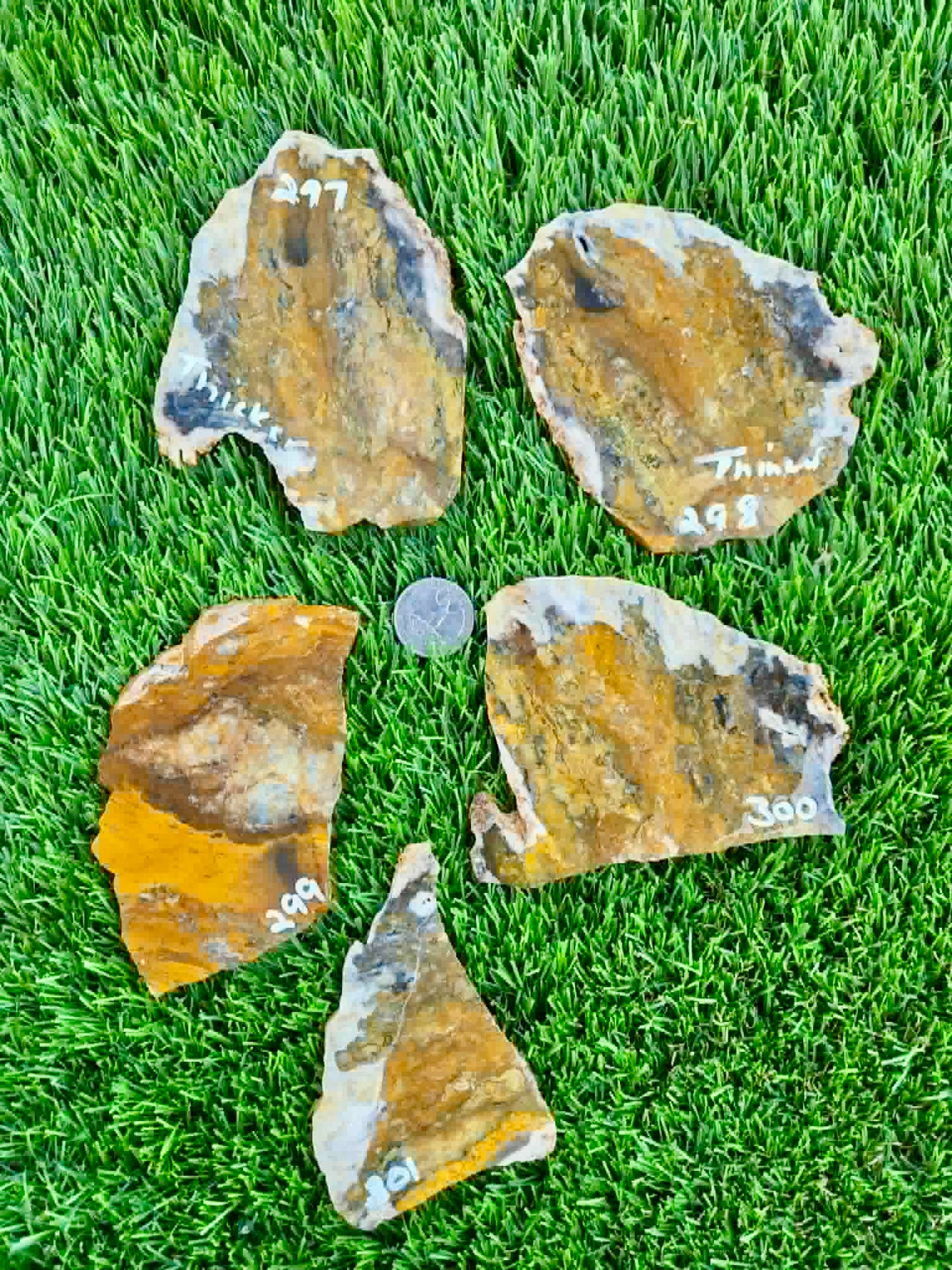 Iron-rich jasper/chalcedony with quartz Slabs F297-301