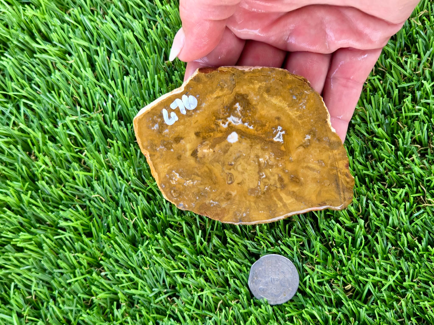 Mustard Picture Jasper Slabs N673-677