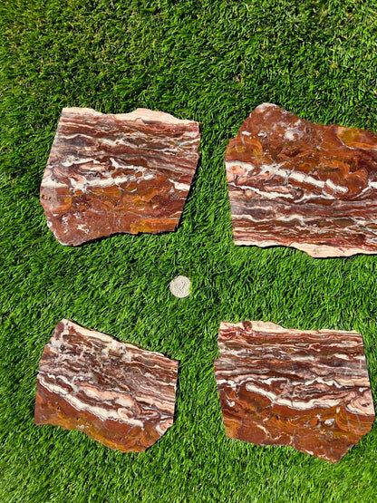 Banded Brecciated Jasper with Agate Slabs O686–689