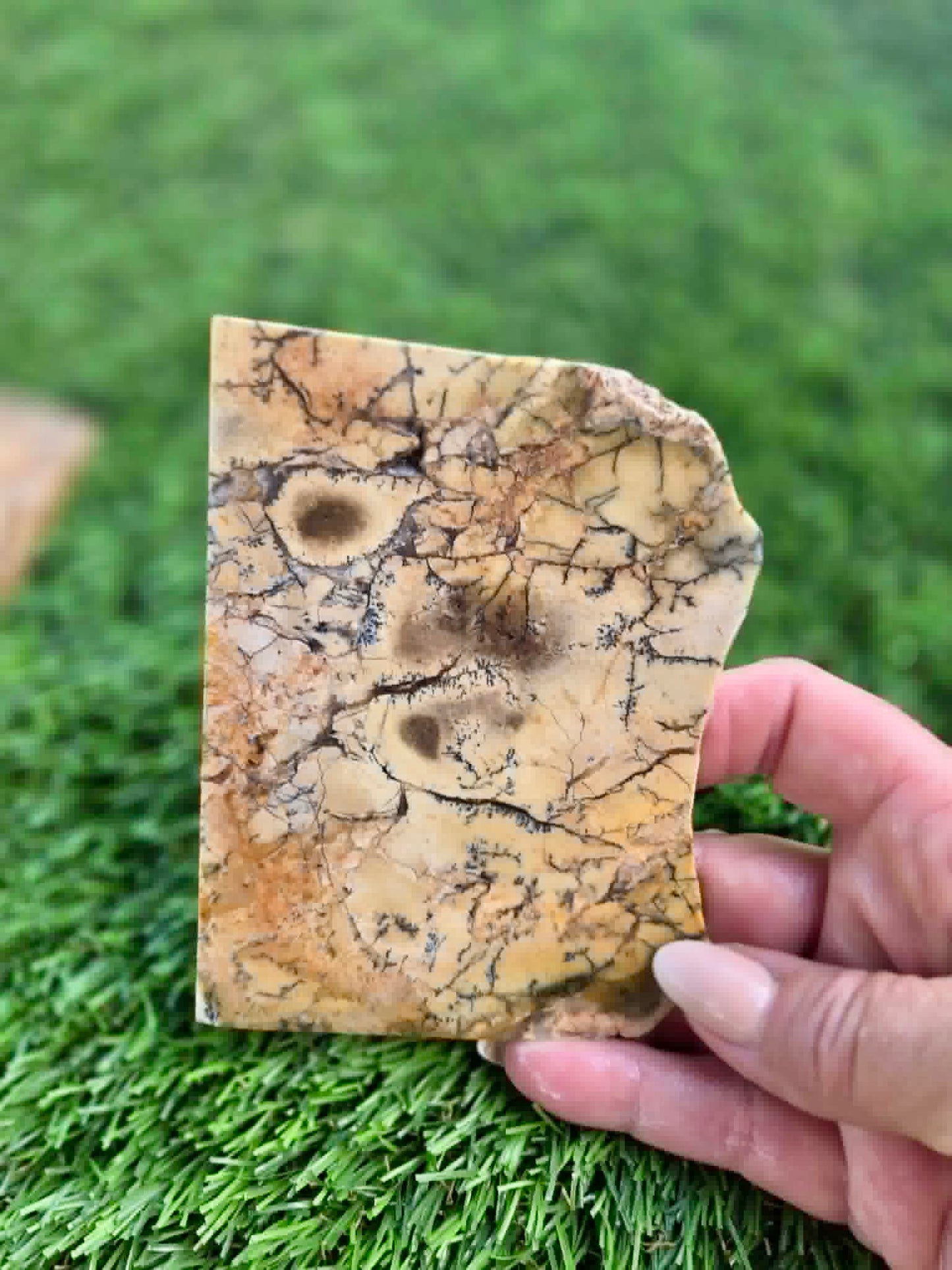 Dendritic Jasper Slabs G335-337