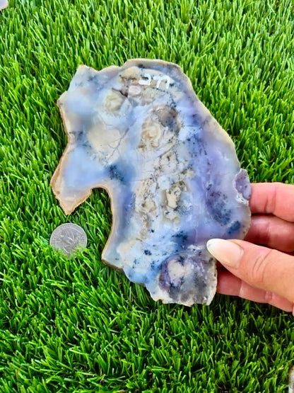 Purple Burro Creek Agate Slab 275-280