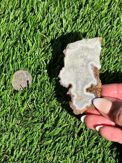 Natural Fortification Agate with Quartz Crystal Druzy Slabs M624-629